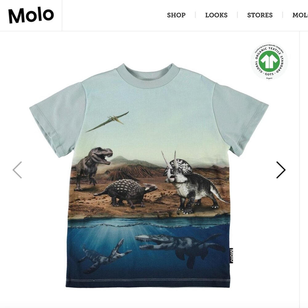 Molo Dino Shirt